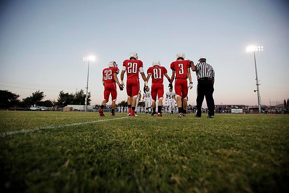 Linden at Ripon
