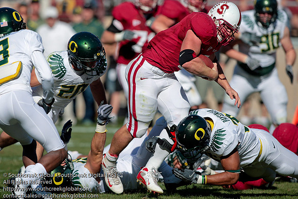NCAA FOOTBALL: Nov 07 Ducks at Cardinals